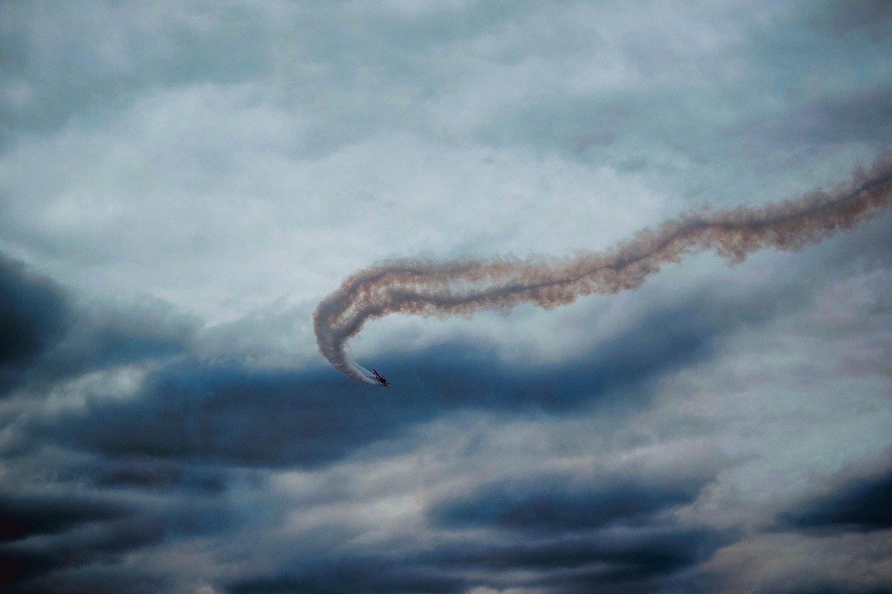 黄金叶100天叶：app详情下载教程国家排名