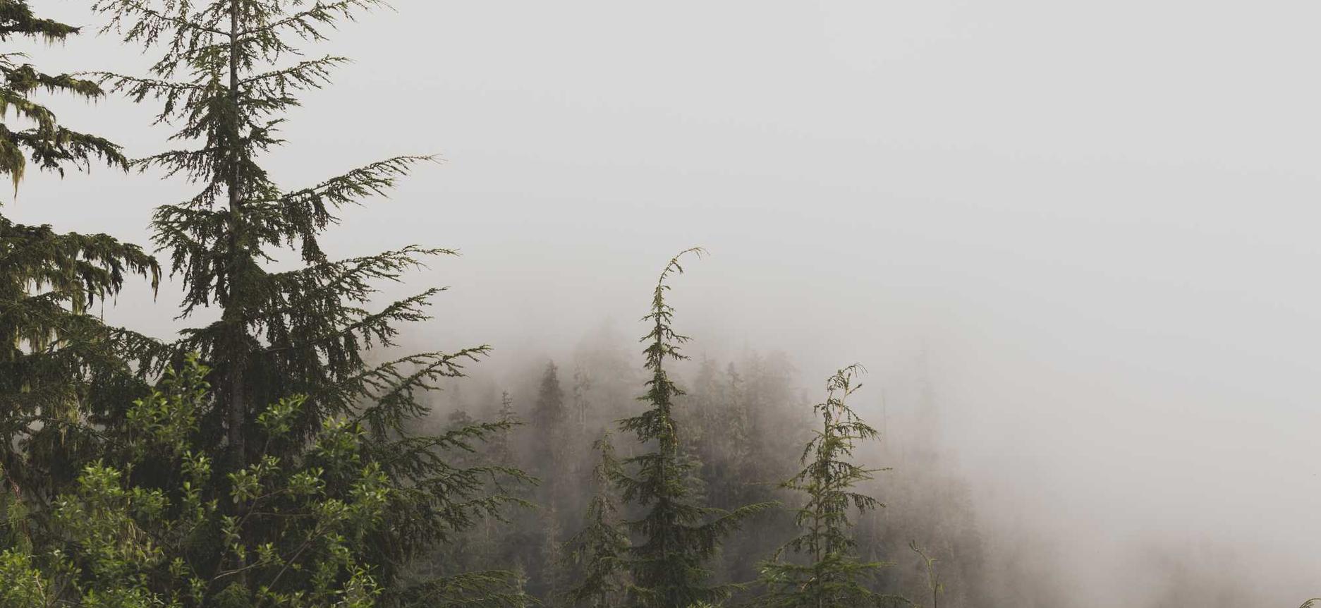 欧亿7一号房app官网详情下载教程