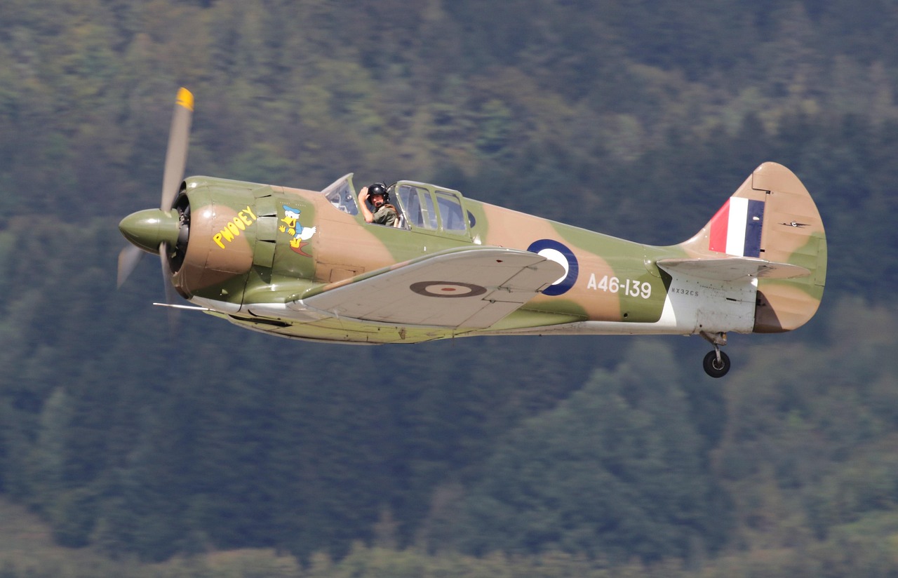 cc网页端|详情下载教程好的app没有网络连接