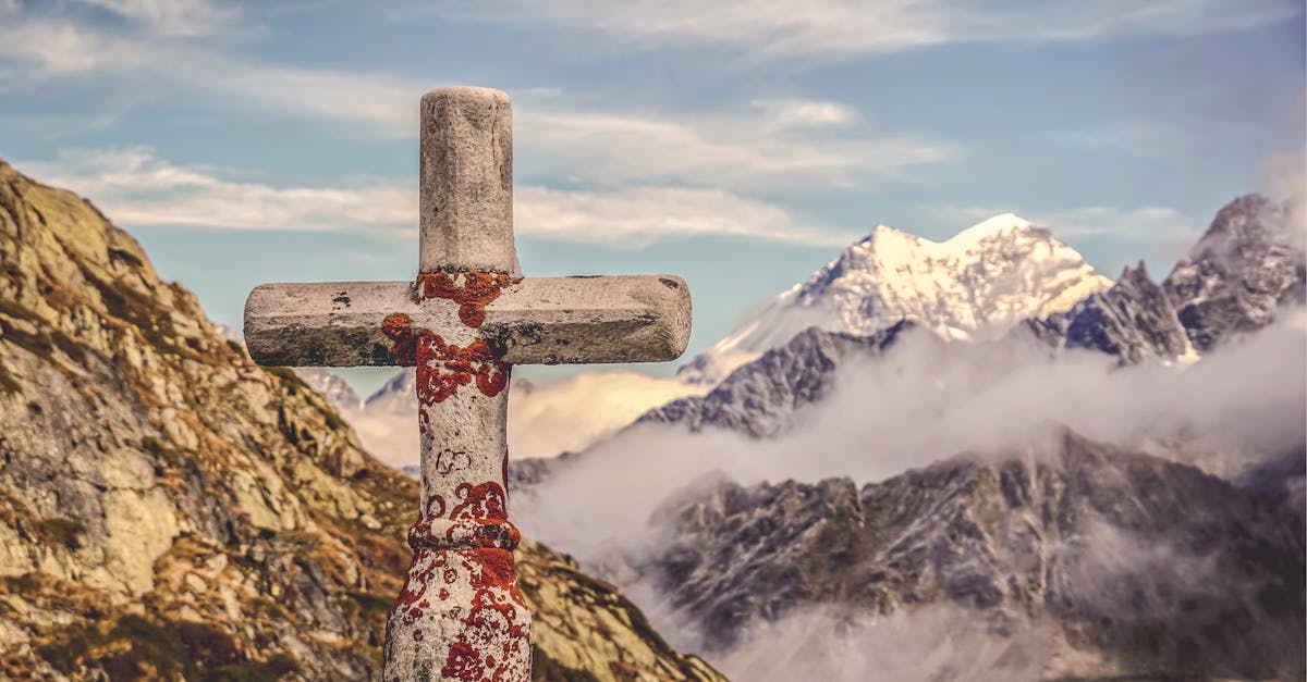 技术支持辅助是否应该被禁止？为什么？