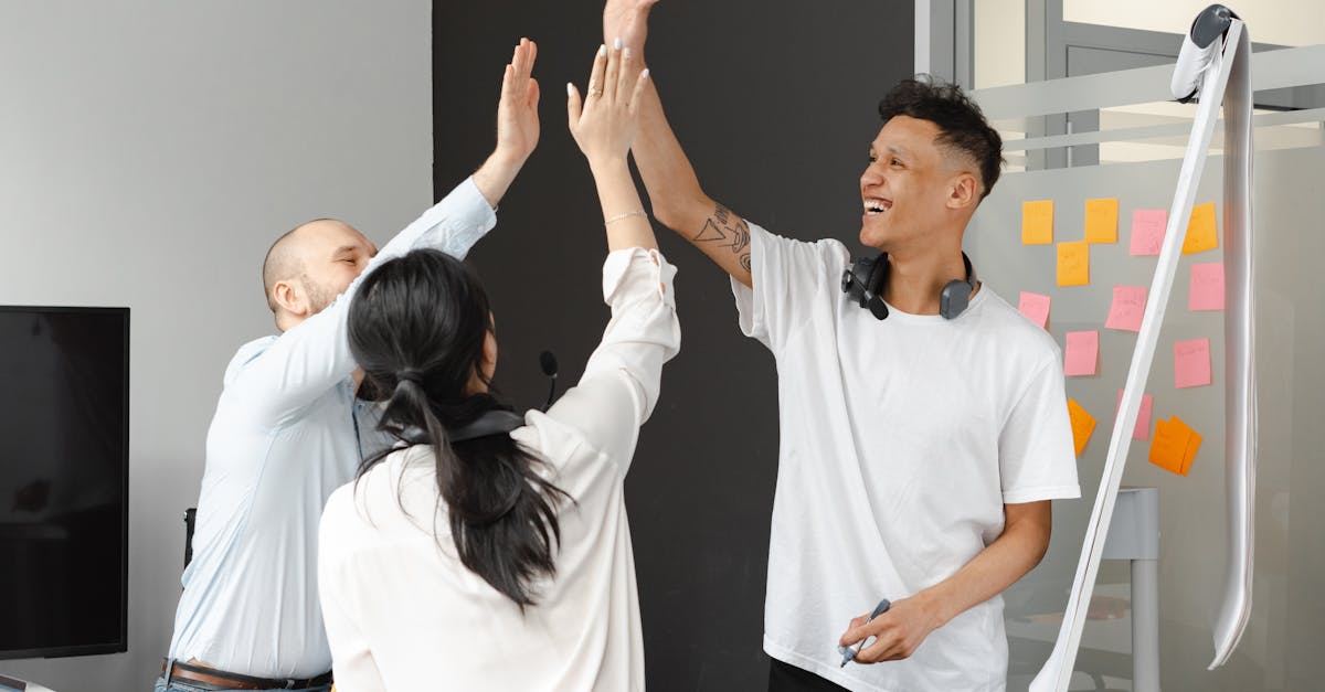 网页在线DDOS压力测试|猫咪社区app官网详情下载教程地址