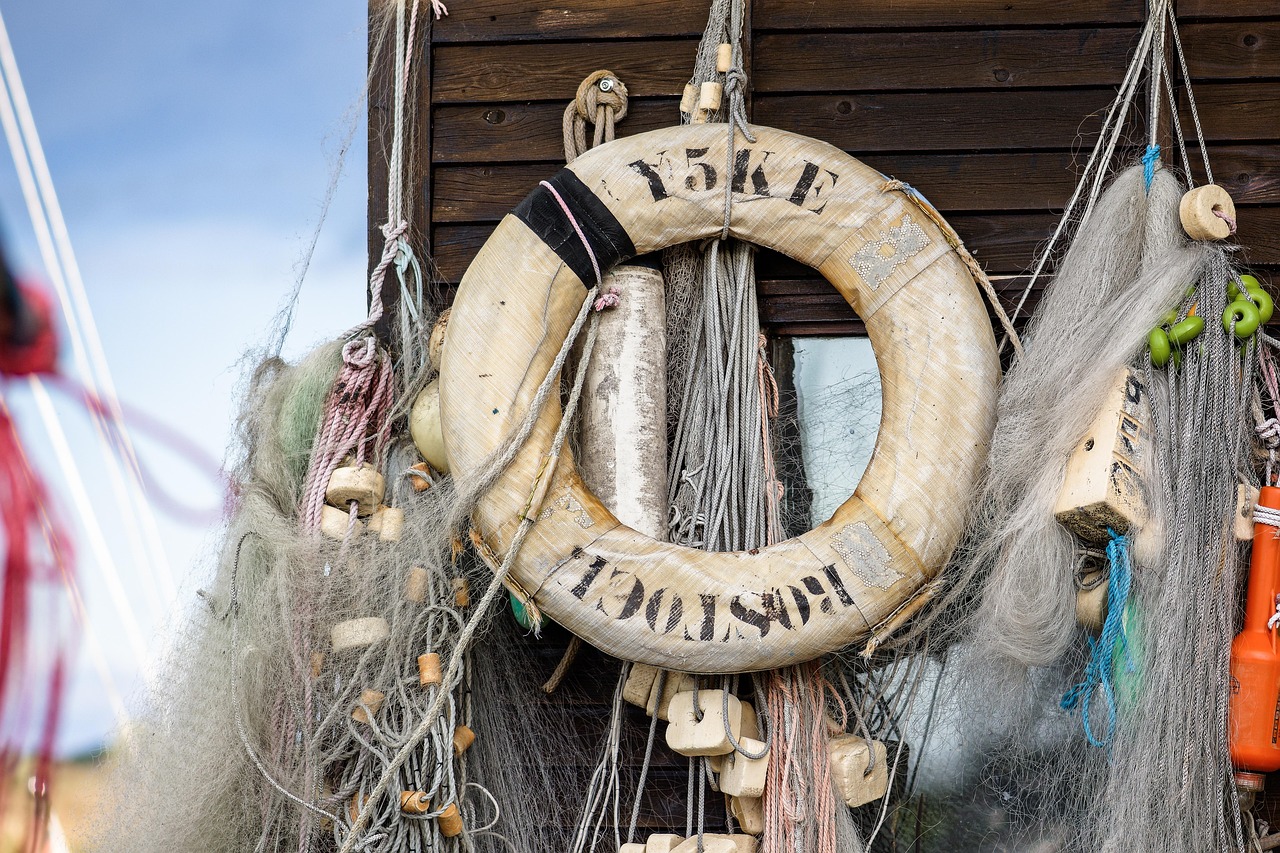 详情下载教程买菜多多APP